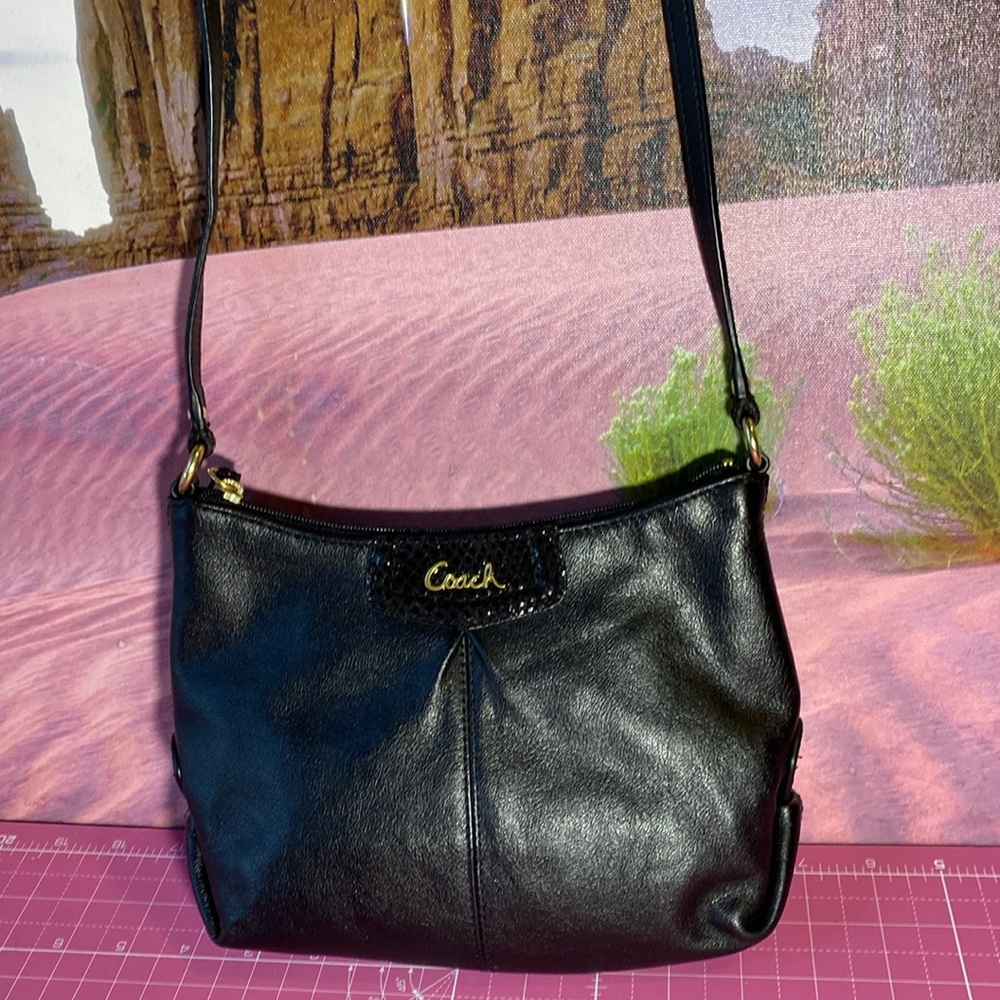 Coach Ashley Small Crossb Leather purse.